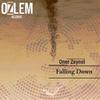 Oner Zeynel - Falling Down