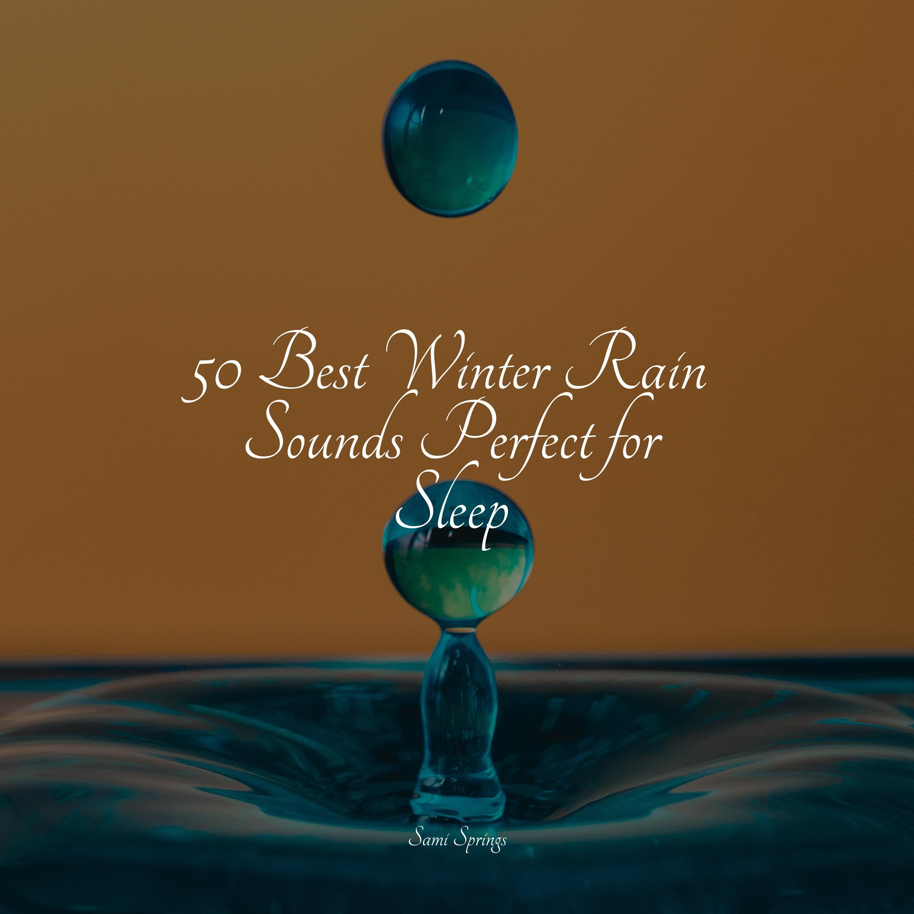 50 Best Winter Rain Sounds Perfect for Sleep
