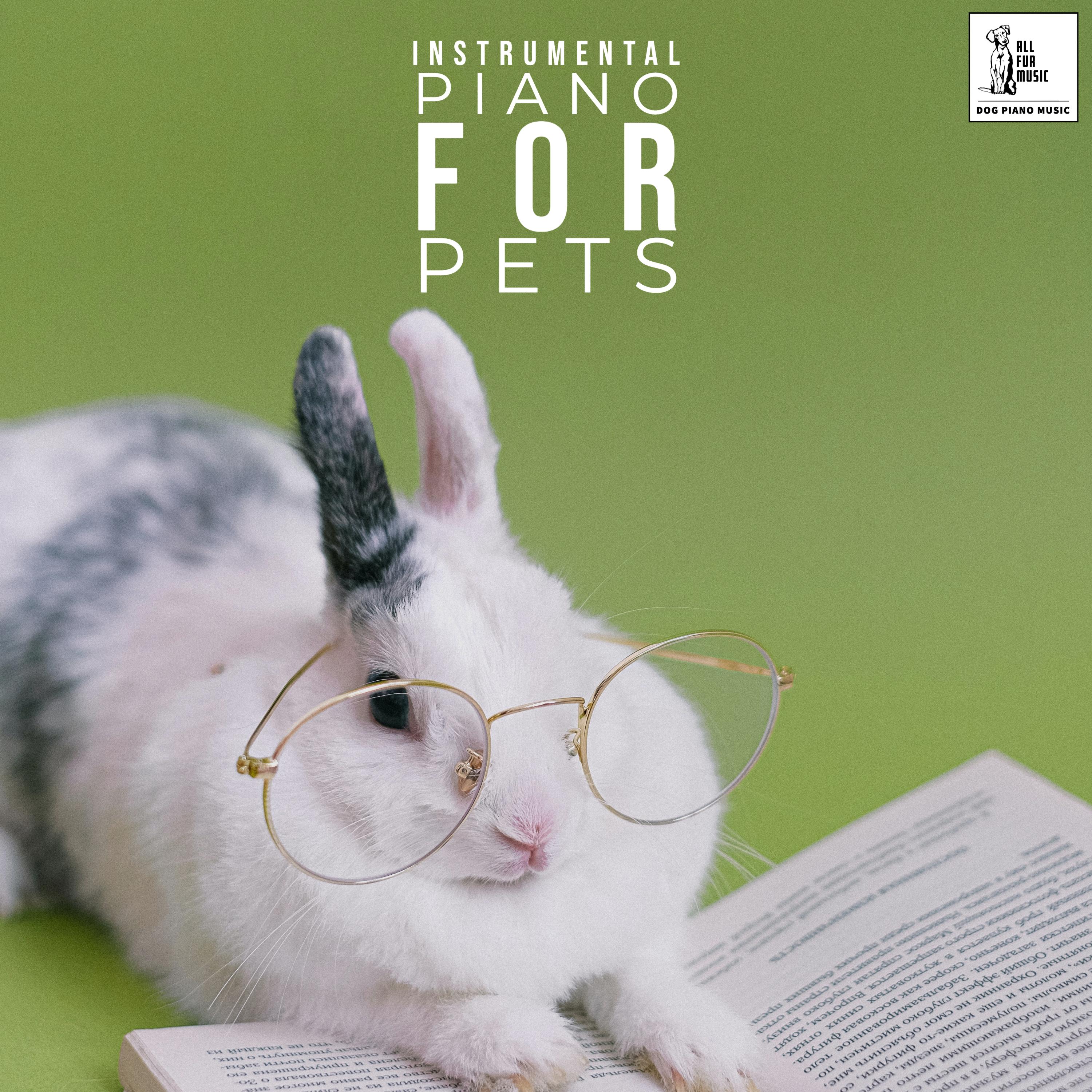 Instrumental Piano For Pets