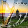Celtic Harp