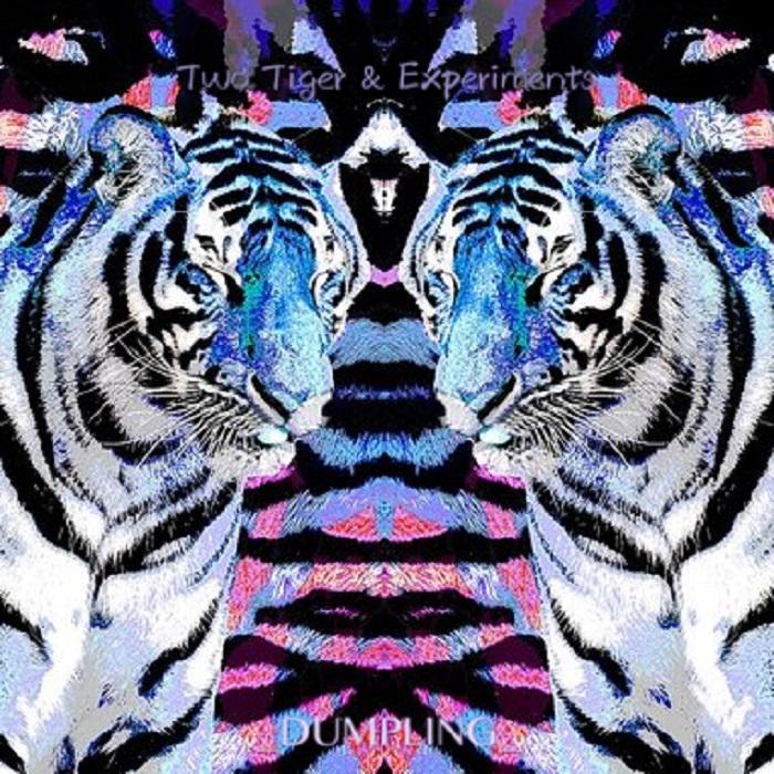 Two Tigers & Experiments专辑