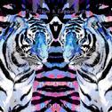 Two Tigers & Experiments专辑