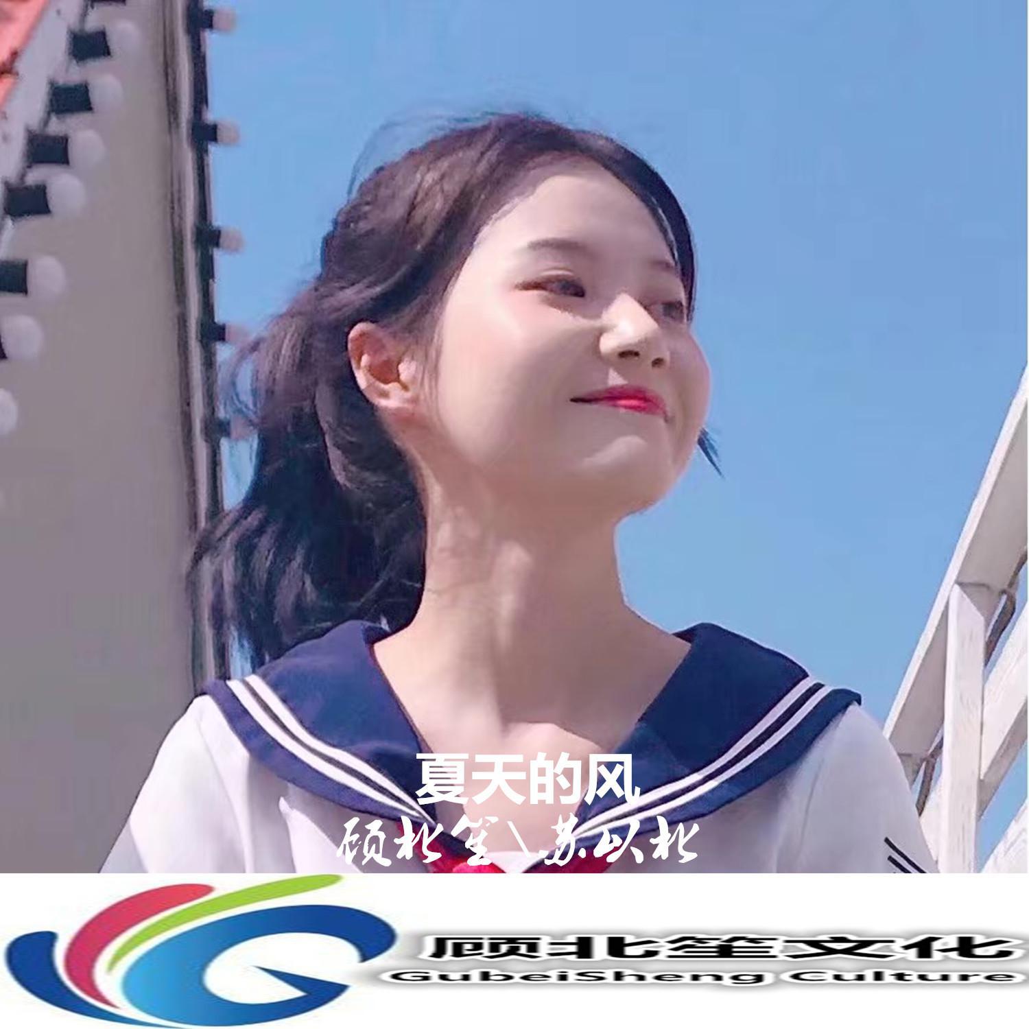 温岚-夏天的风（DJ弹鼓版）（顾北笙 / 苏以北 remix）