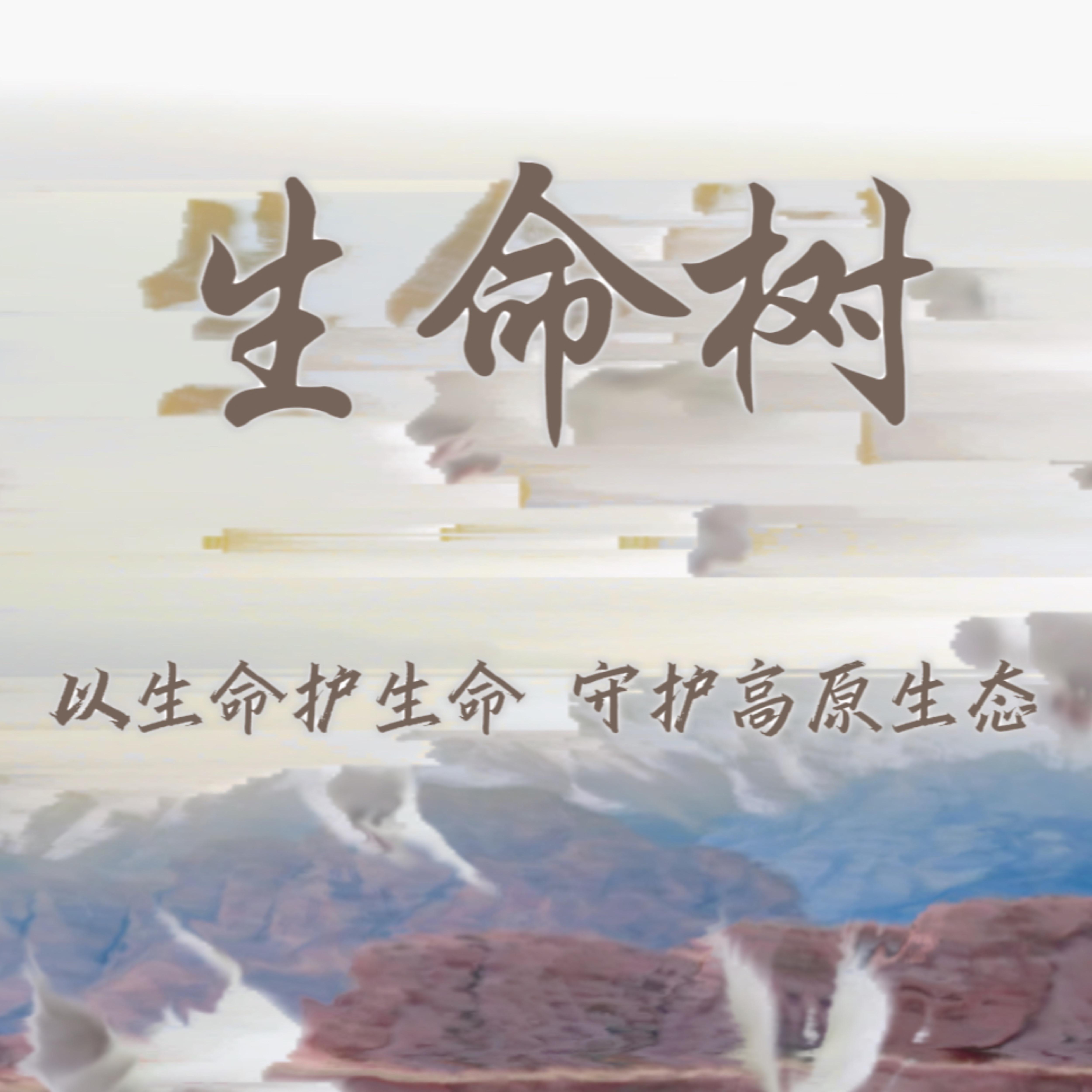 以生命护生命，守护高原生态