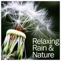 19 Relaxing Rain and Nature Sounds.  Let them Calm and Soothe Your Active Mind专辑