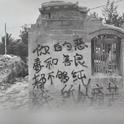 痛专辑