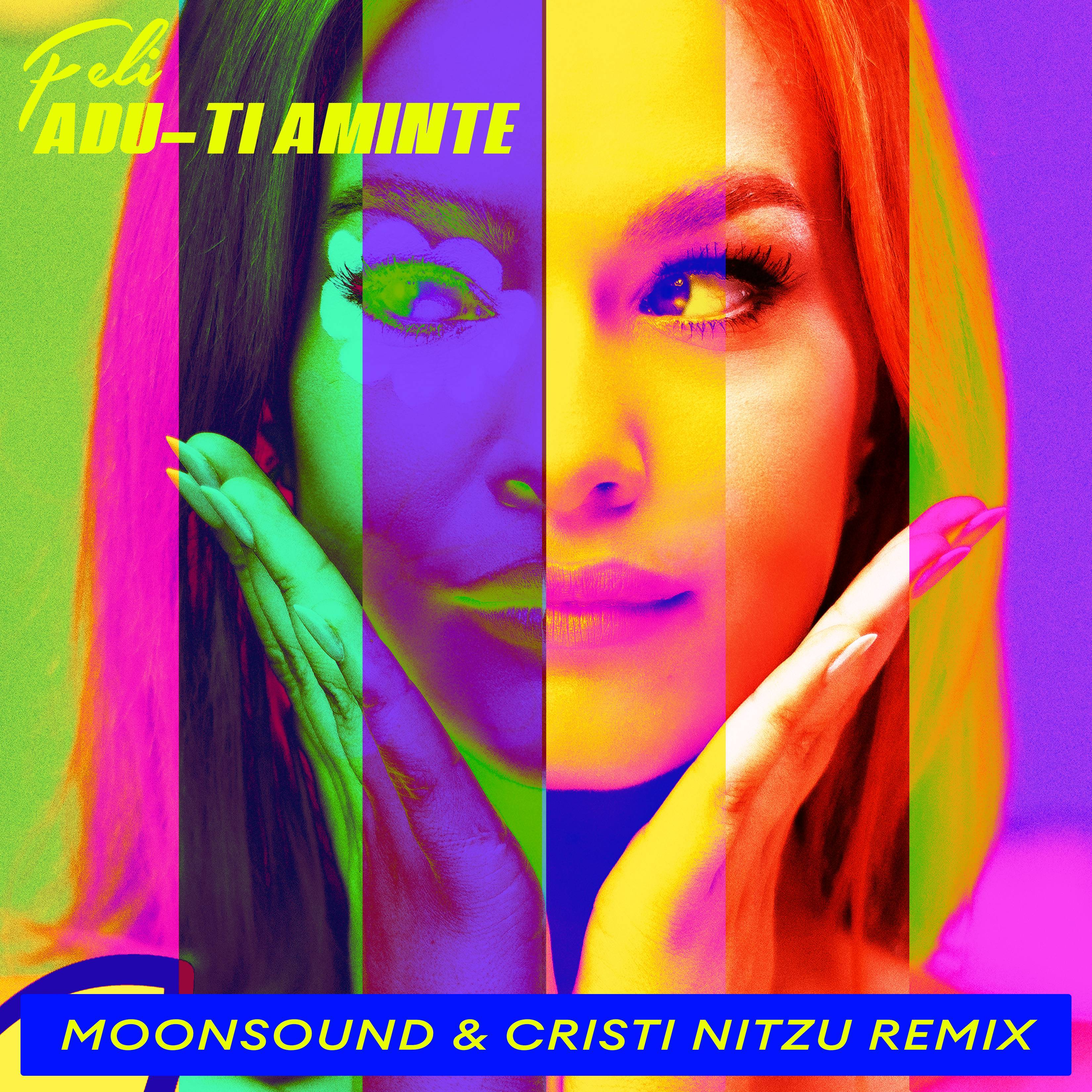 Adu-ti aminte (MoonSound & Cristi Nitzu Remix)