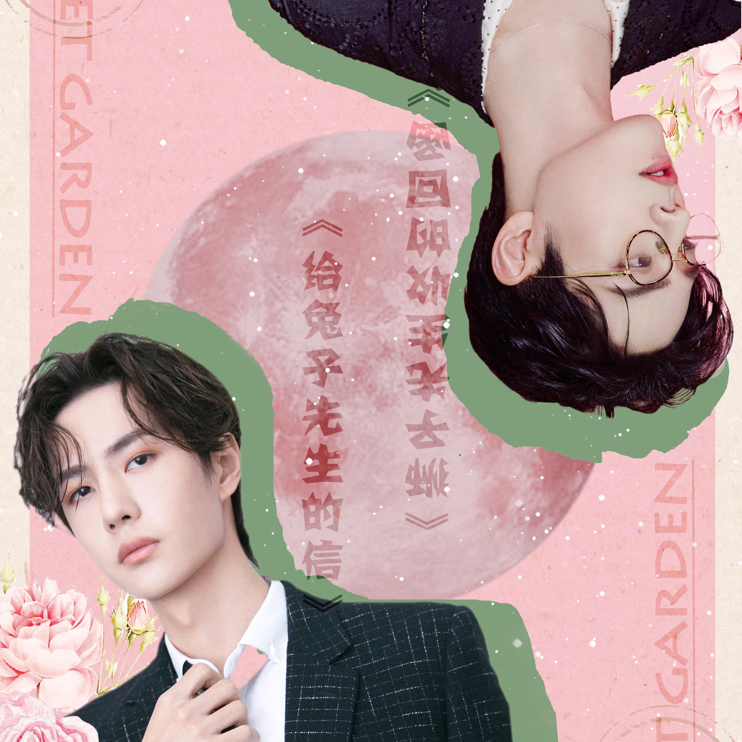 给兔子先生的信