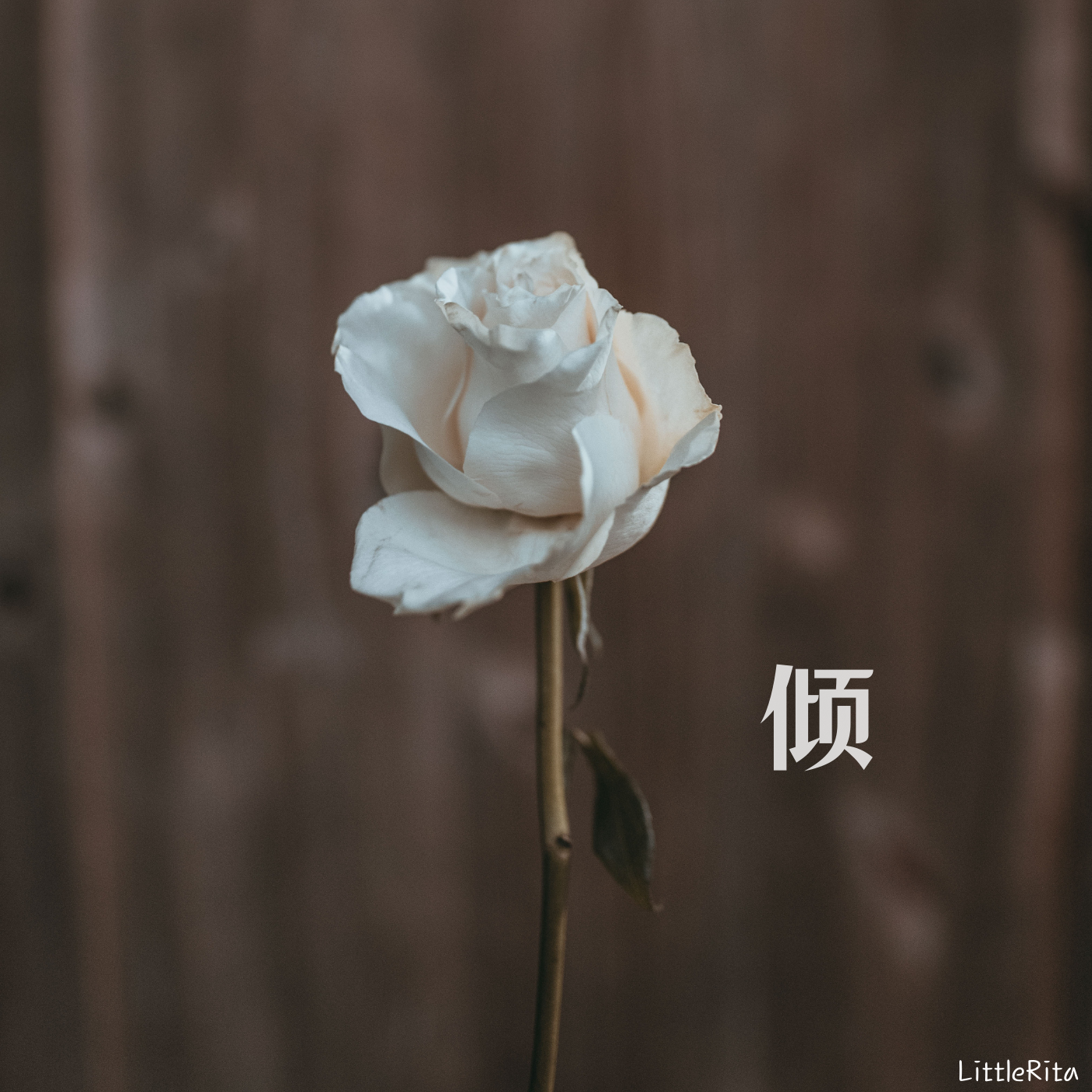 倾