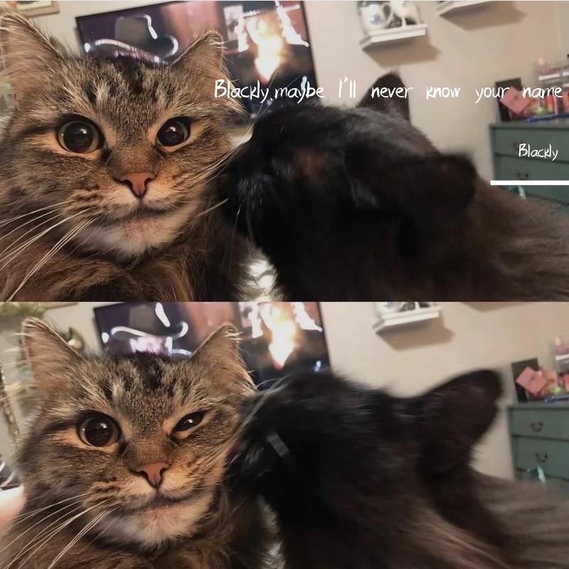 maybe I'll never know your name