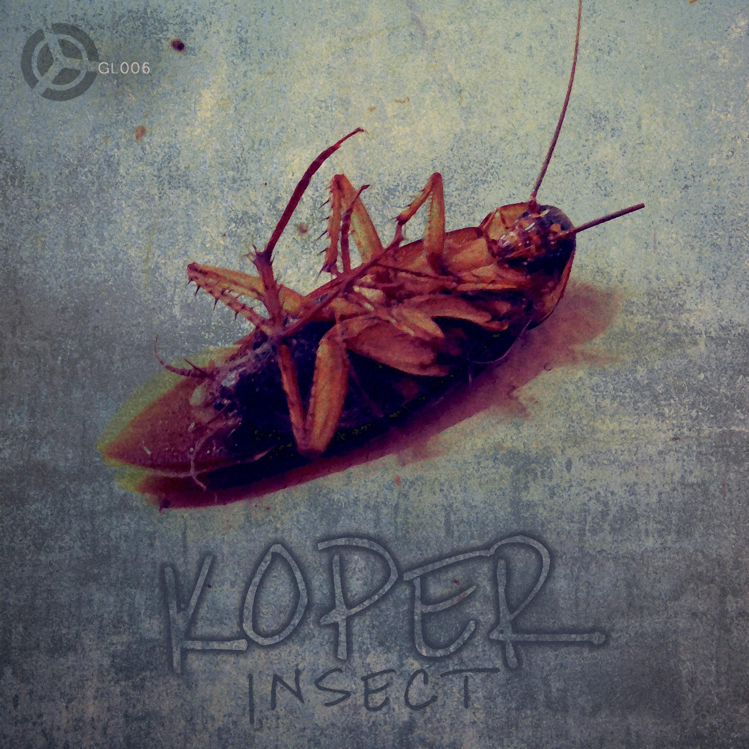 Insect