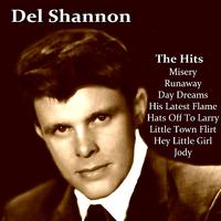 Hats Off To Larry - Del Shannon (unofficial Instrumental)