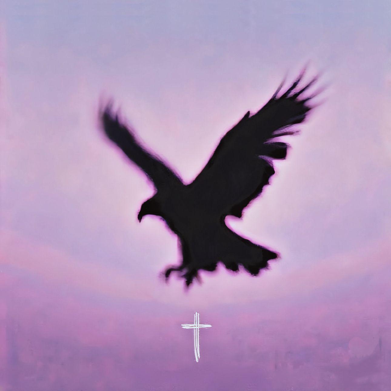 从日出之地到日落之处