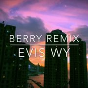 李佳隆-BERRY（Evis Wy Remix）