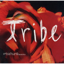 Tribe专辑