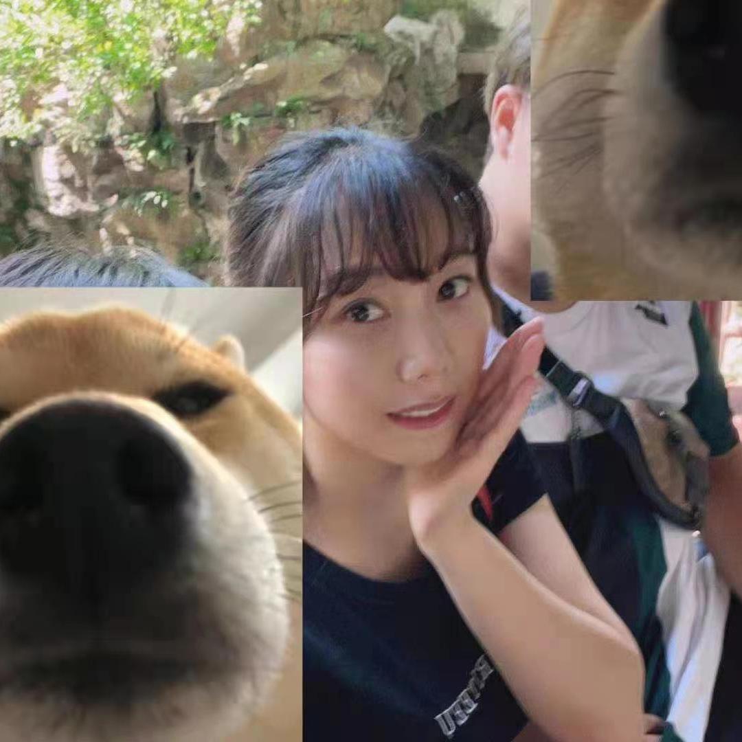 曾经有个傻瓜