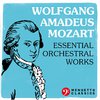 Mozart Festival Orchestra - Symphony No. 18 in F Major, K. 130: II. Andantino grazioso