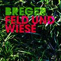 Feld Und Wiese