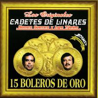 Los Cadetes De Linares - Sinceramente (karaoke)