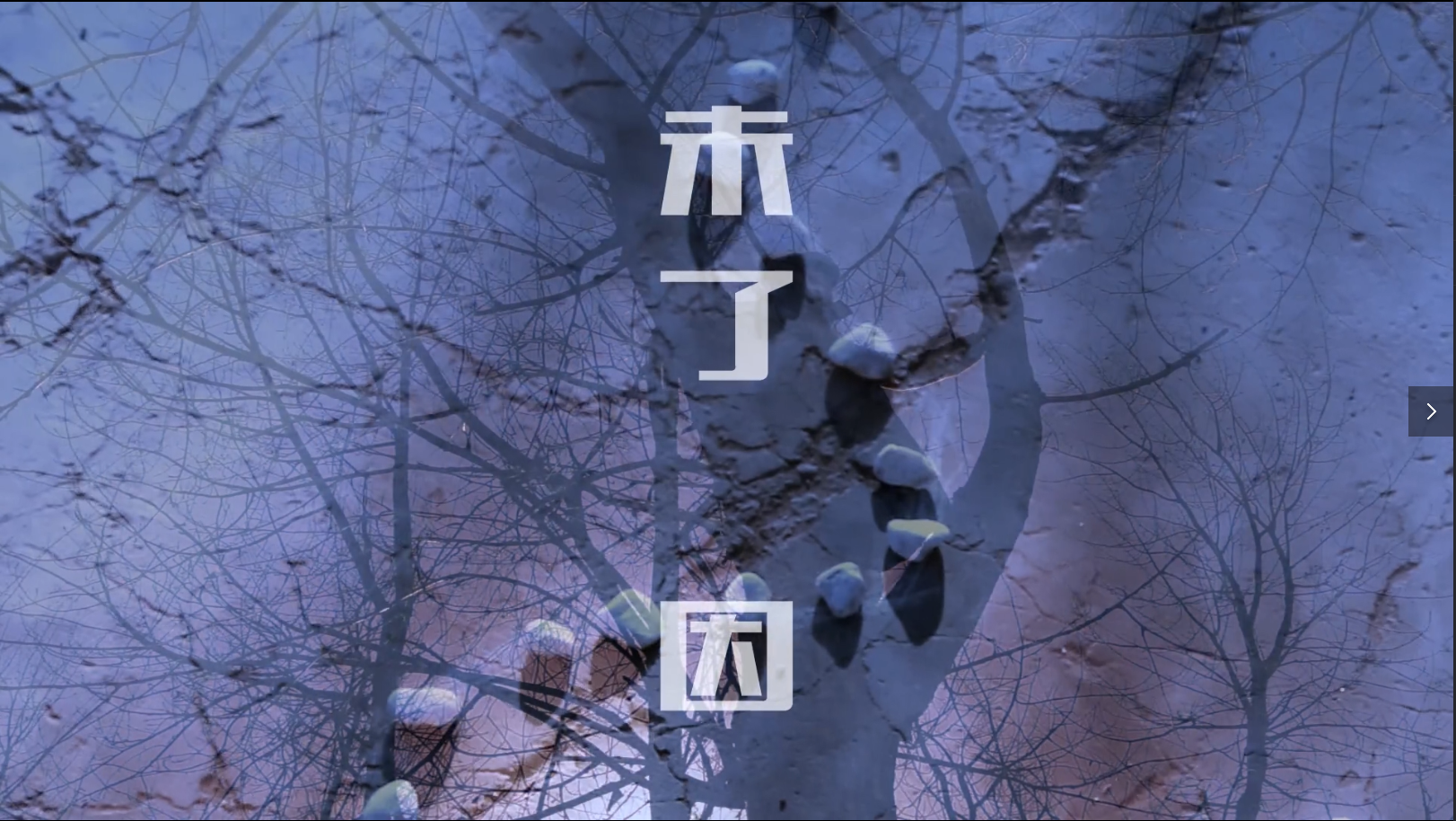未了因（原创音乐剧《黑与白的证明》）