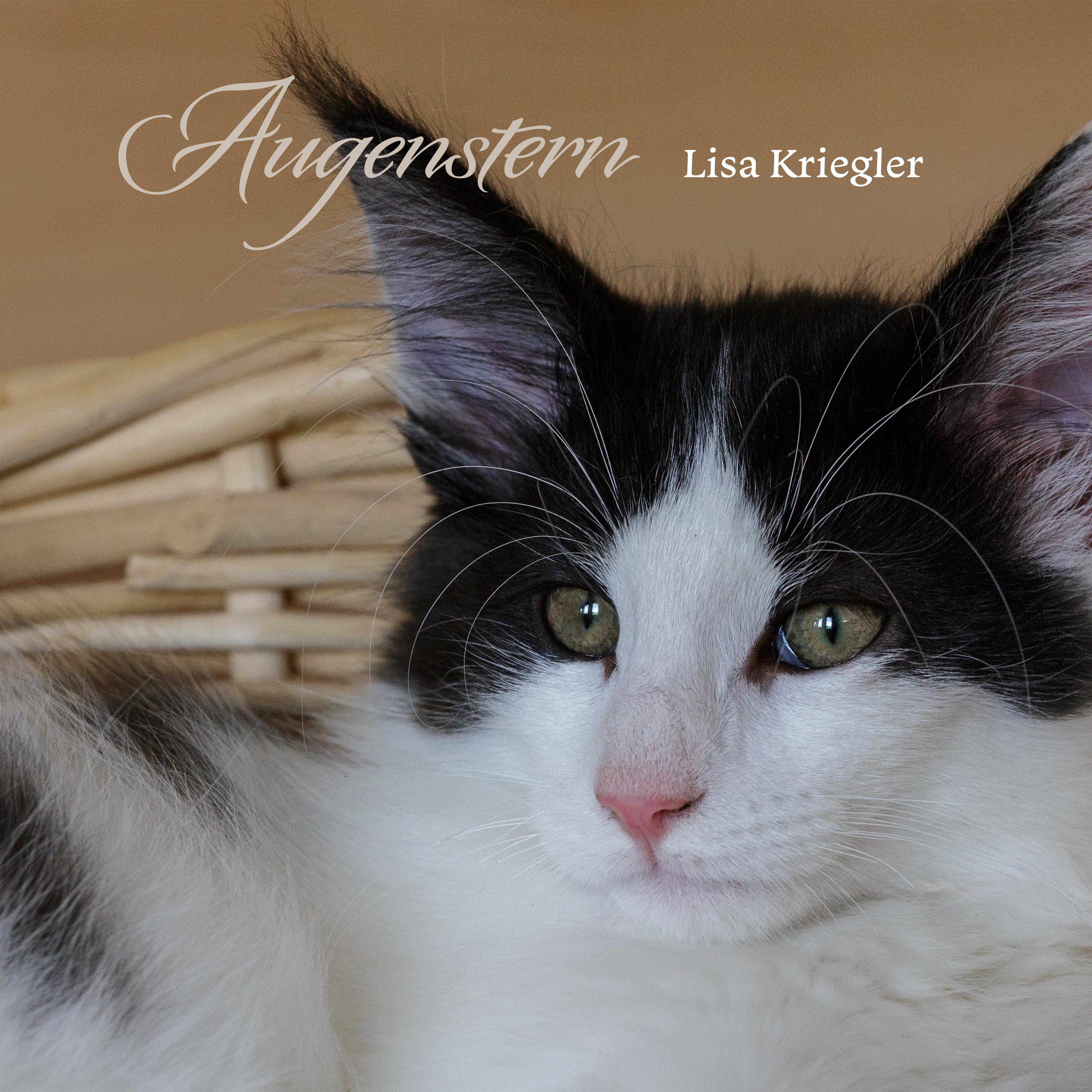 Augenstern