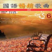 (极品伴奏)今夜你会不会来+我是不是该安