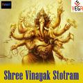 Shree Vinayak Stotram