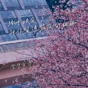 终于决定，把你装进箱底的相册