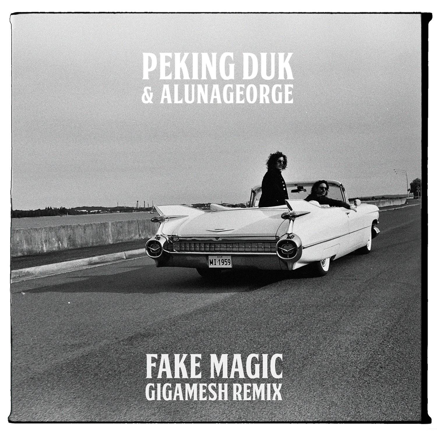 Fake Magic (Gigamesh Remix)专辑