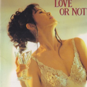 LOVE OR NOTHING专辑