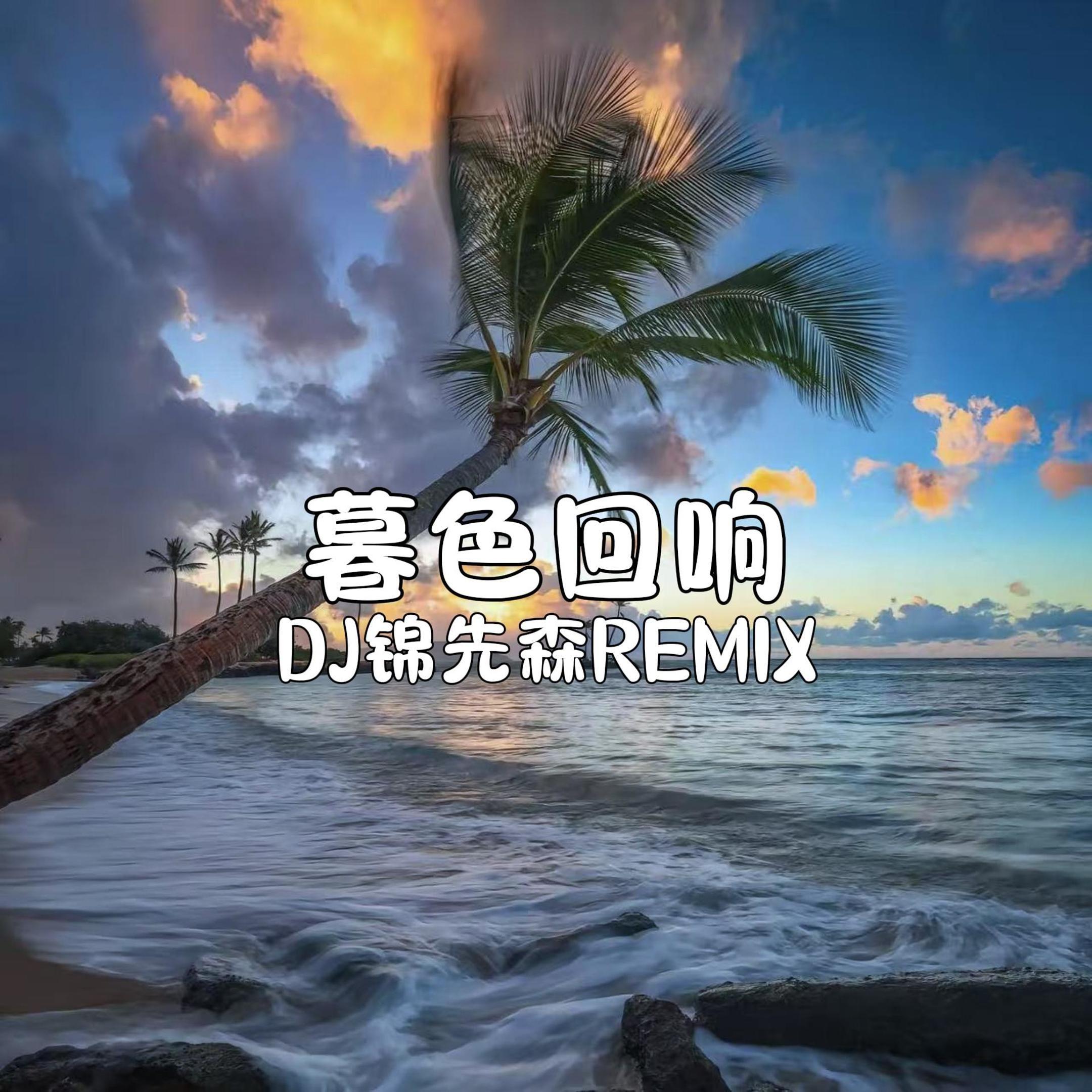 暮色回响（DJ锦先森 Remix）