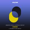 Andrea Belli - I Know (Robbie Rivera Remix)