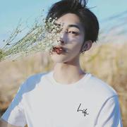 你的叶先生