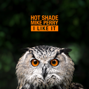 Hot Shade & Mike Perry - I Like it (Pre-V) 带和声伴奏 （升4半音）