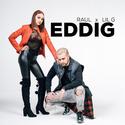 EDDIG