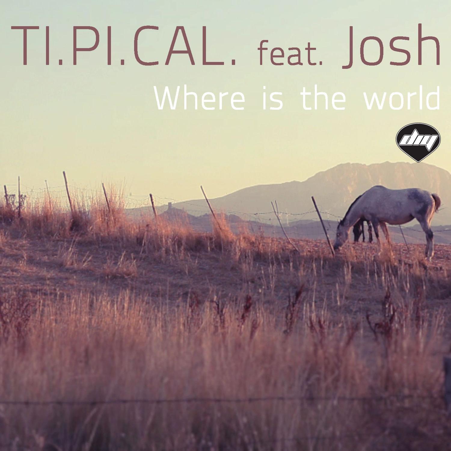 Where Is the World