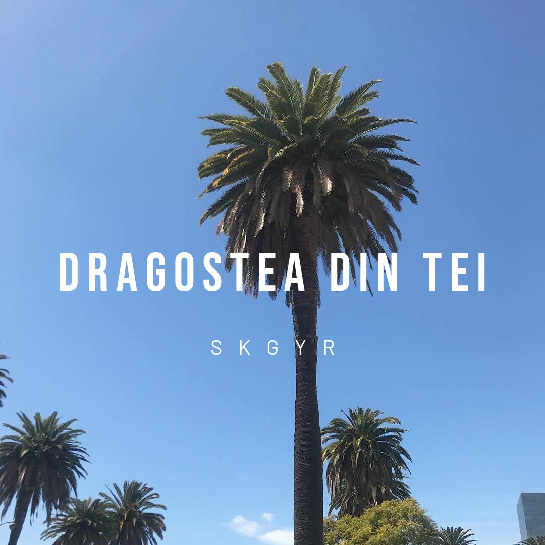 O-Zone-Dragostea Din Tei（SKGYR remix）