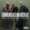 Lennart Ginman - The Bliss of Sonic Swing