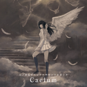 天ノ少女 オリジナルサウンドトラック：Caelum