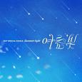 여름 빛 (Summer Light)