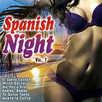 Te Quise Tanto - Spanish Various (karaoke)