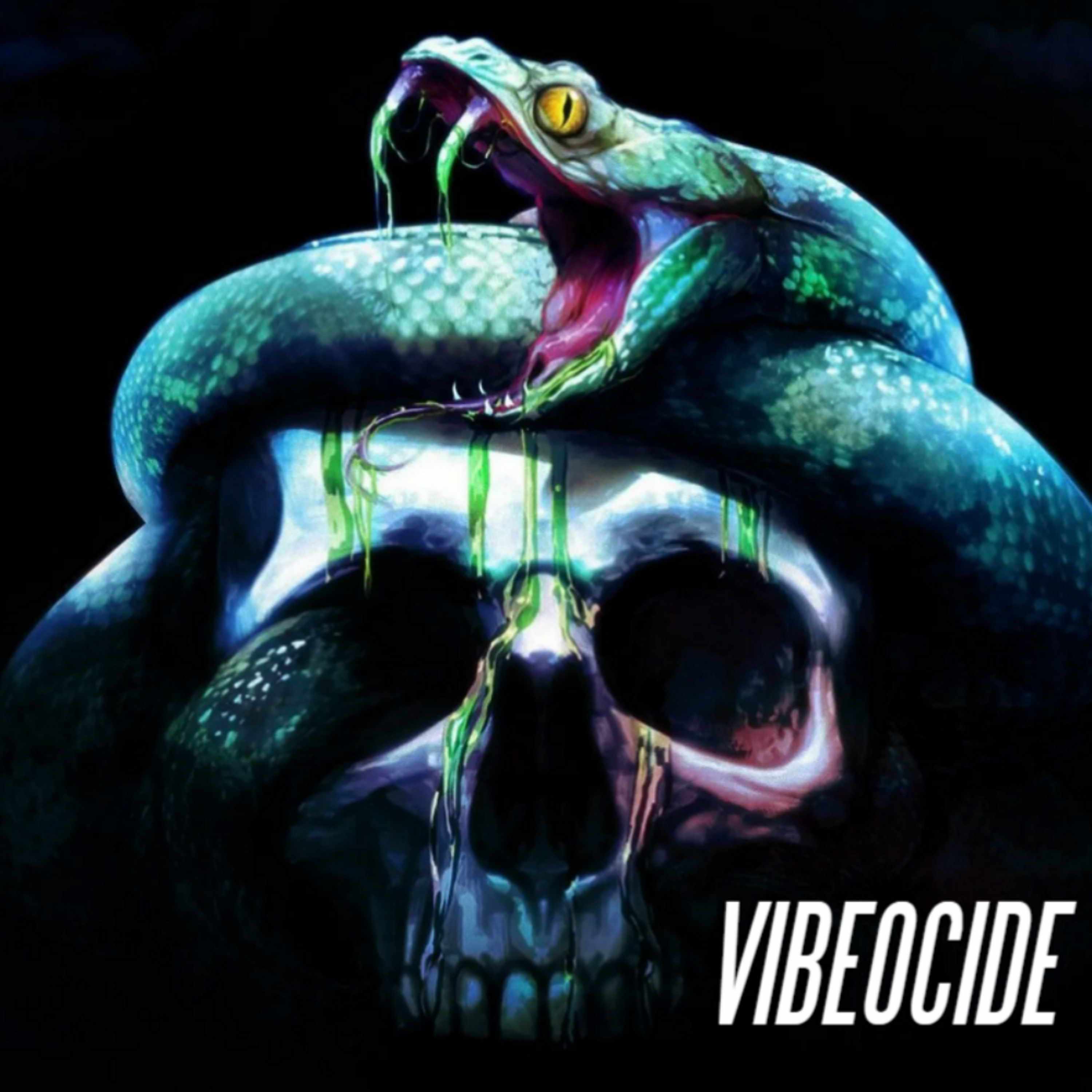 SockDP - Vibeocide (Cyberpunk Remix)