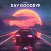 Steek - Say Goodbye (Extended Mix)