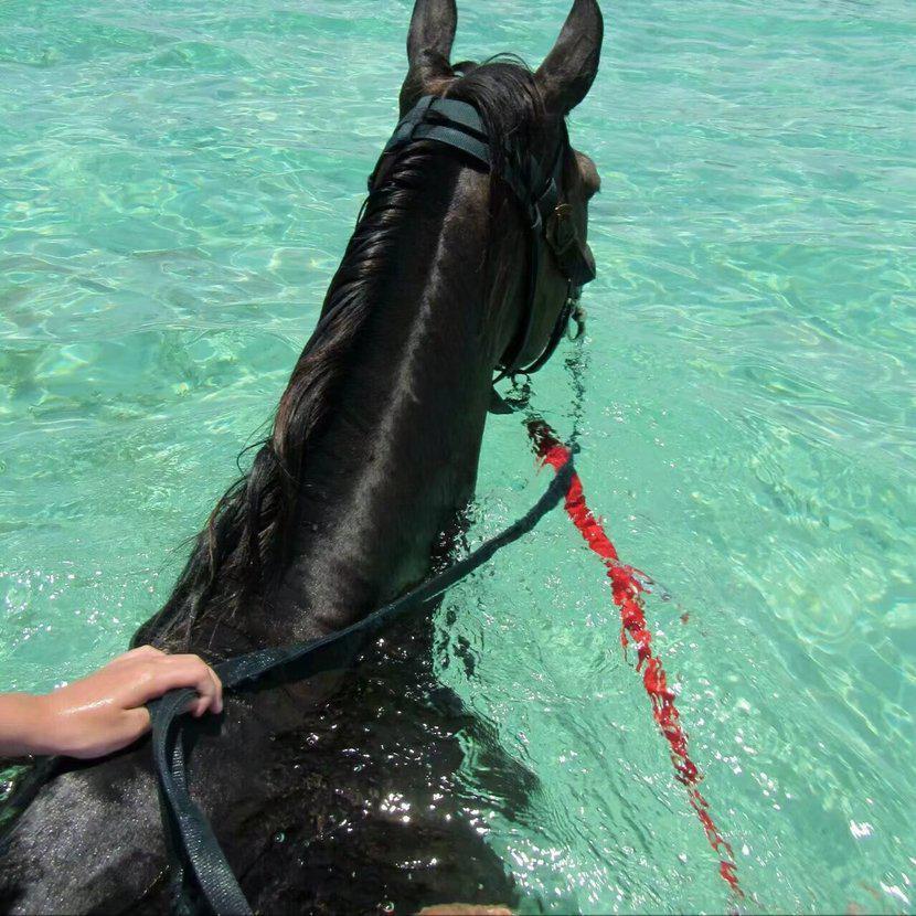 Read All About It (Amice Remix)