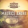 Les grands trompettistes de variété : Maurice André, Vol. 1专辑