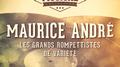 Les grands trompettistes de variété : Maurice André, Vol. 1专辑