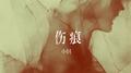 伤痕专辑