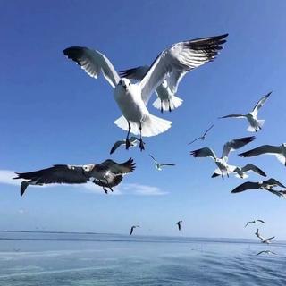 不怕新歌有多嗨，就怕老歌带DJ