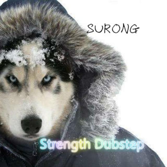 Strength Dubstep专辑