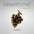 Grapevine